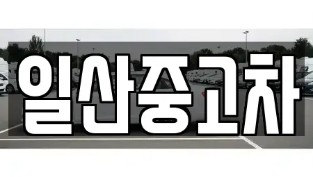 경기도 고양시 덕양구 도내동 중고차 전문 일산중고차