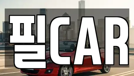 경기도 고양시 덕양구 도내동 중고차 전문 필CAR