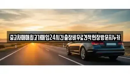 경기도 고양시 덕양구 도내동 중고차매입 전문 중고차매매최고가매입24시간출장비무료견적현장방문지누카