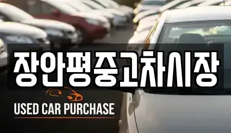 경기도 광주시 남종면 중고차 전문 장안평중고차시장