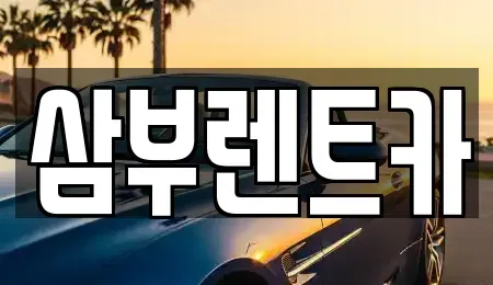 경기도 구리시 인창동 렌트카 전문 삼부렌트카