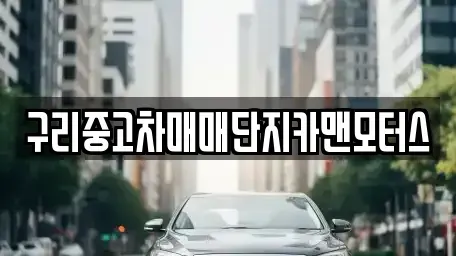 경기도 구리시 인창동 중고차 전문 구리중고차매매단지카맨모터스