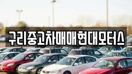 경기도 구리시 인창동 중고차매매 전문 구리중고차매매현대모터스