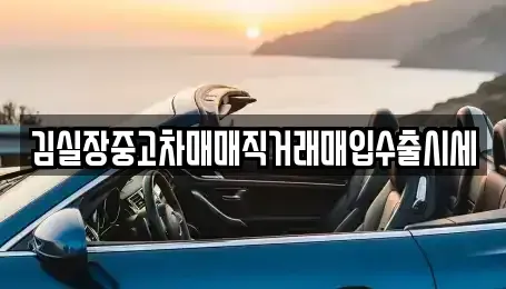 경기도 김포시 마산동 중고차 전문 김실장중고차매매직거래매입수출시세