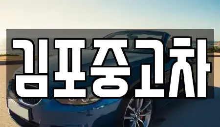 경기도 김포시 마산동 중고차 전문 김포중고차