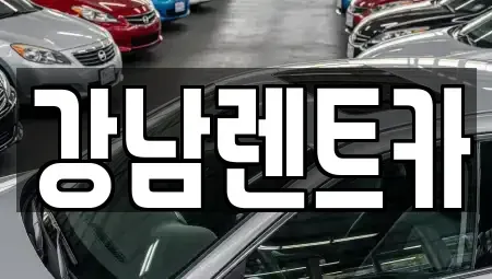 경기도 남양주시 평내동 단기렌트카,중고차매입,중고차매매,중고차,렌트카,장기렌트카