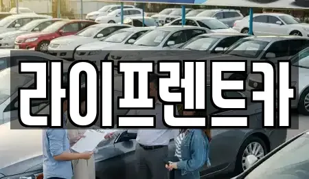 경기도 남양주시 평내동 렌트카 전문 라이프렌트카