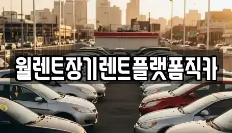 경기도 남양주시 평내동 장기렌트카 전문 월렌트장기렌트플랫폼직카