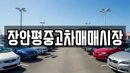 경기도 남양주시 평내동 중고차매매 전문 장안평중고차매매시장