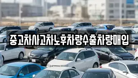 경기도 남양주시 평내동 중고차매입 전문 중고차사고차노후차량수출차량매입