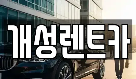 경기도 부천시 오정구 작동 렌트카 전문 개성렌트카
