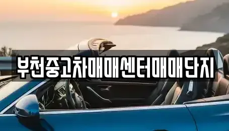 경기도 부천시 오정구 작동 중고차매매,단기렌트카,중고차매입,장기렌트카,중고차,렌트카