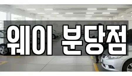 경기도 성남시 분당구 백현동 단기렌트카 전문 웨이 분당점