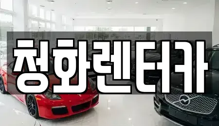 경기도 성남시 분당구 백현동 단기렌트카 전문 청화렌터카