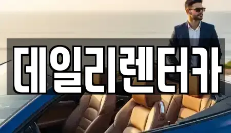 경기도 성남시 분당구 백현동 렌트카 전문 데일리렌터카
