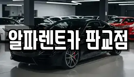 경기도 성남시 분당구 백현동 렌트카 전문 알파렌트카 판교점