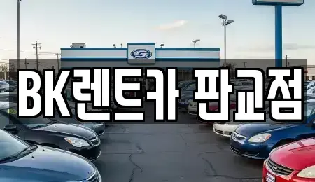 경기도 성남시 분당구 백현동 장기렌트카 전문 BK렌트카 판교점
