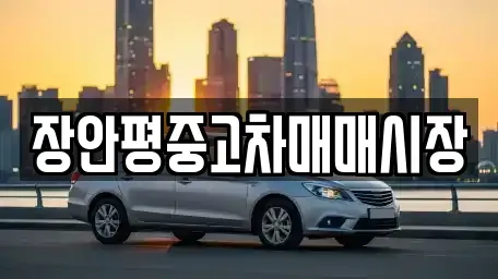 경기도 성남시 분당구 백현동 중고차 전문 장안평중고차매매시장