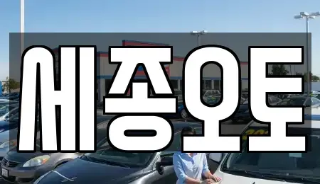 경기도 수원시 권선구 서둔동 렌트카 전문 세종오토