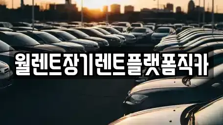 경기도 수원시 권선구 서둔동 장기렌트카 전문 월렌트장기렌트플랫폼직카