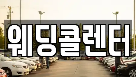 경기도 수원시 장안구 단기렌트카 전문 웨딩콜렌터