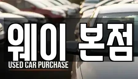 경기도 수원시 장안구 단기렌트카 전문 웨이 본점