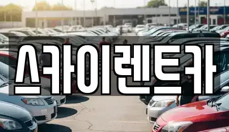 경기도 수원시 장안구 장기렌트카 전문 스카이렌트카