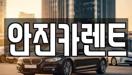 경기도 수원시 장안구 장기렌트카 전문 안진카렌트