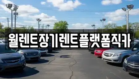 경기도 수원시 장안구 장기렌트카 전문 월렌트장기렌트플랫폼직카