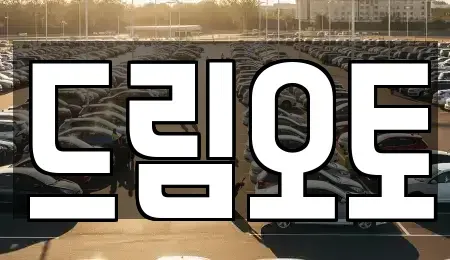 경기도 수원시 장안구 중고차 전문 드림오토