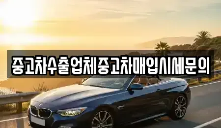 경기도 수원시 장안구 중고차매입 전문 중고차수출업체중고차매입시세문의