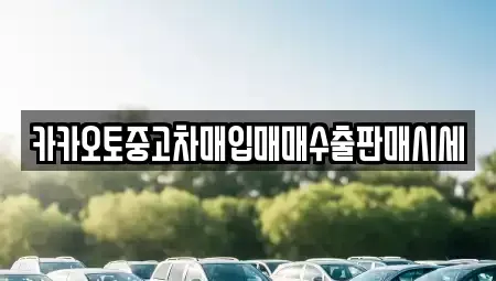 경기도 수원시 장안구 중고차매입 전문 카카오토중고차매입매매수출판매시세
