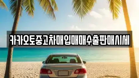 경기도 시흥시 방산동 중고차매매 전문 카카오토중고차매입매매수출판매시세