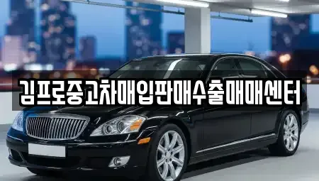 경기도 시흥시 방산동 중고차매입 전문 김프로중고차매입판매수출매매센터