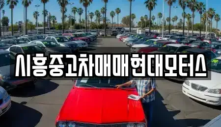 경기도 시흥시 산현동 중고차,렌트카,중고차매입,중고차매매,장기렌트카,단기렌트카