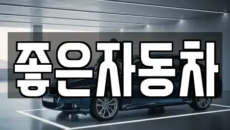 경기도 안산시 단원구 성곡동 중고차 전문 좋은자동차