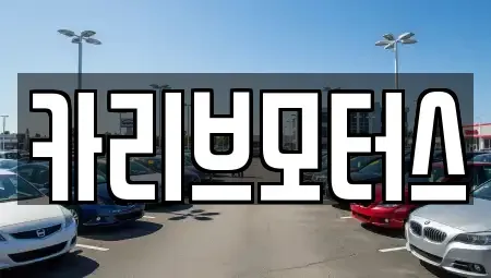 경기도 안산시 단원구 성곡동 중고차 전문 카리브모터스