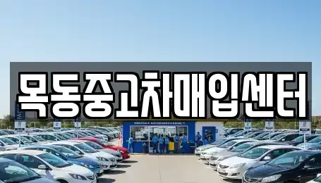 경기도 안산시 단원구 성곡동 중고차매입 전문 목동중고차매입센터