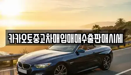 경기도 안산시 단원구 성곡동 중고차매입 전문 카카오토중고차매입매매수출판매시세