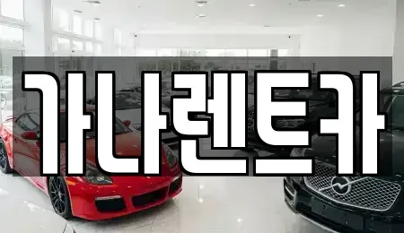 경기도 안성시 서인동 렌트카 전문 가나렌트카