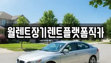 경기도 안성시 서인동 장기렌트카 전문 월렌트장기렌트플랫폼직카