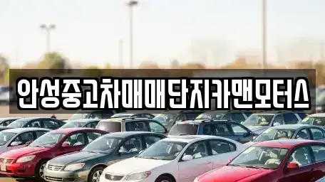 경기도 안성시 서인동 중고차 전문 안성중고차매매단지카맨모터스