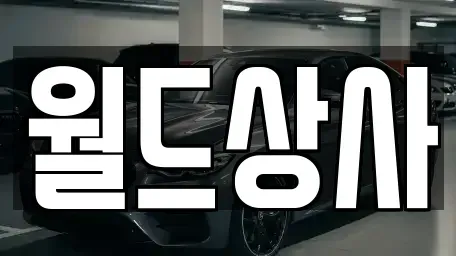 경기도 안성시 서인동 중고차매매 전문 월드상사