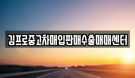경기도 안성시 서인동 중고차매입 전문 김프로중고차매입판매수출매매센터
