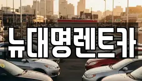 경기도 안양시 동안구 비산동 렌트카 전문 뉴대명렌트카