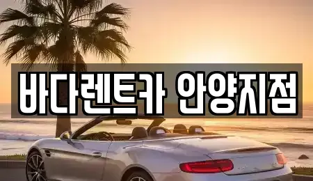 경기도 안양시 동안구 비산동 렌트카 전문 바다렌트카 안양지점