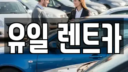 경기도 안양시 동안구 비산동 렌트카 전문 유일 렌트카