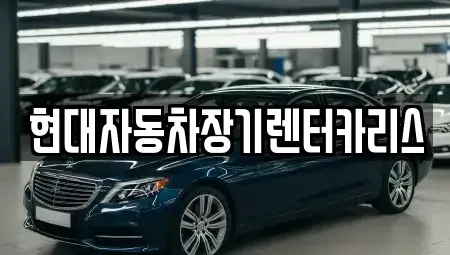 경기도 안양시 동안구 비산동 장기렌트카 전문 현대자동차장기렌터카리스