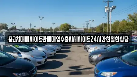 경기도 안양시 동안구 비산동 중고차 전문 중고차매매사이트판매매입수출시세사이트24시간친절한상담