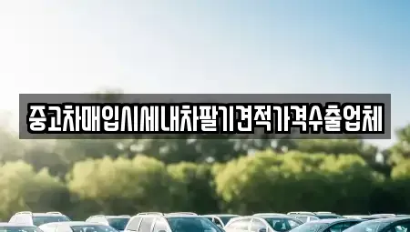 경기도 안양시 동안구 비산동 중고차매입 전문 중고차매입시세내차팔기견적가격수출업체